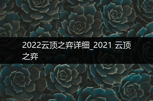 2022云顶之弈详细_2021 云顶之弈