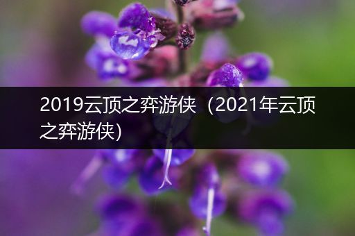 2019云顶之弈游侠（2021年云顶之弈游侠）
