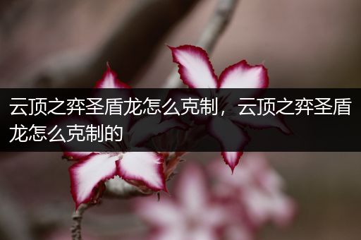 云顶之弈圣盾龙怎么克制，云顶之弈圣盾龙怎么克制的