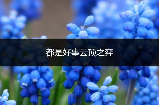 都是好事云顶之弈