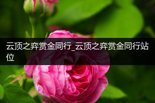 云顶之弈赏金同行_云顶之弈赏金同行站位