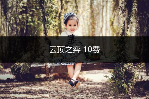 云顶之弈 10费