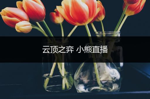 云顶之弈 小熊直播