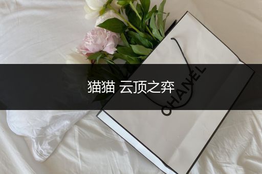 猫猫 云顶之弈