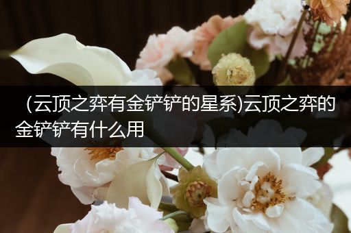 （云顶之弈有金铲铲的星系)云顶之弈的金铲铲有什么用