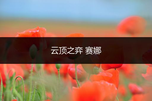 云顶之弈 赛娜
