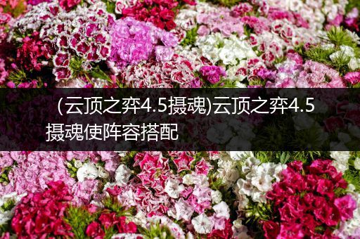 （云顶之弈4.5摄魂)云顶之弈4.5摄魂使阵容搭配