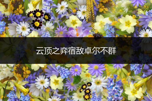 云顶之弈宿敌卓尔不群