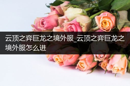 云顶之弈巨龙之境外服_云顶之弈巨龙之境外服怎么进