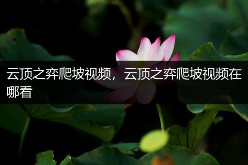 云顶之弈爬坡视频，云顶之弈爬坡视频在哪看