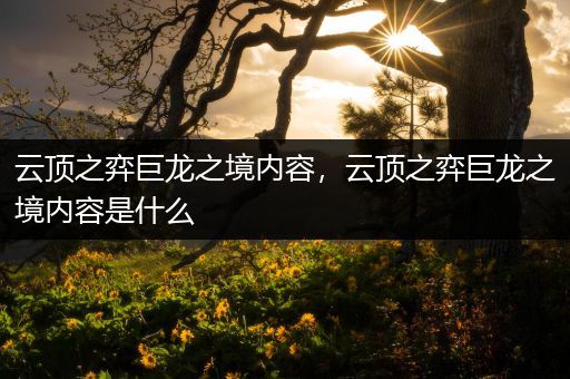 云顶之弈巨龙之境内容，云顶之弈巨龙之境内容是什么