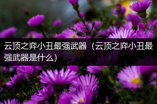 云顶之弈小丑最强武器（云顶之弈小丑最强武器是什么）