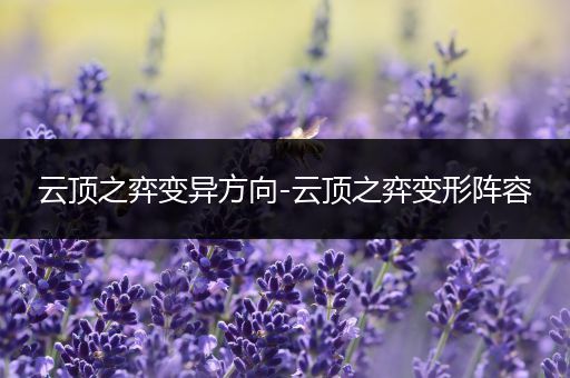 云顶之弈变异方向-云顶之弈变形阵容