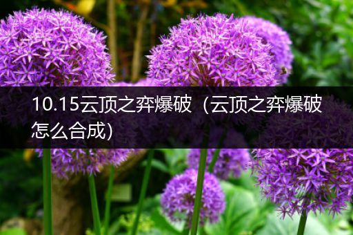 10.15云顶之弈爆破（云顶之弈爆破怎么合成）