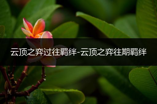 云顶之弈过往羁绊-云顶之弈往期羁绊