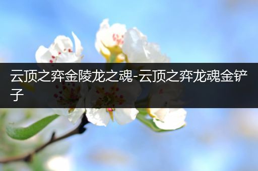 云顶之弈金陵龙之魂-云顶之弈龙魂金铲子