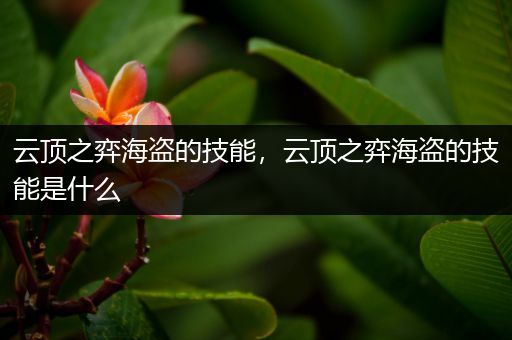 云顶之弈海盗的技能，云顶之弈海盗的技能是什么