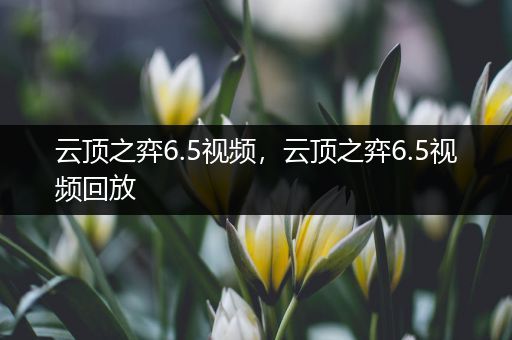 云顶之弈6.5视频，云顶之弈6.5视频回放