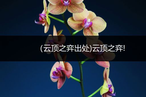 （云顶之弈出处)云顶之弈!