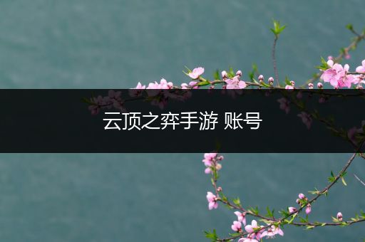 云顶之弈手游 账号