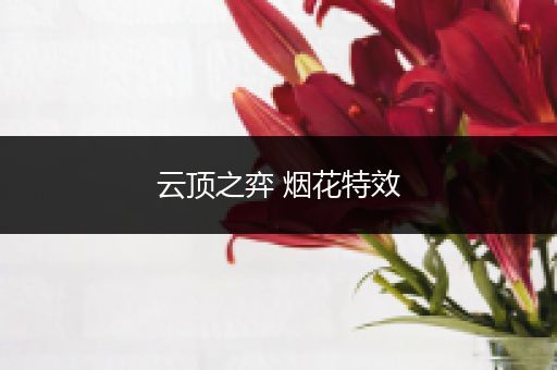 云顶之弈 烟花特效