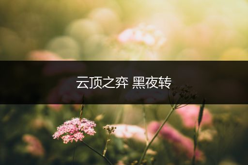 云顶之弈 黑夜转