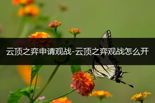云顶之弈申请观战-云顶之弈观战怎么开