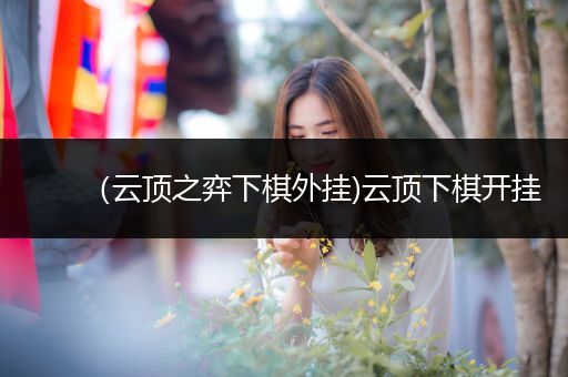 （云顶之弈下棋外挂)云顶下棋开挂