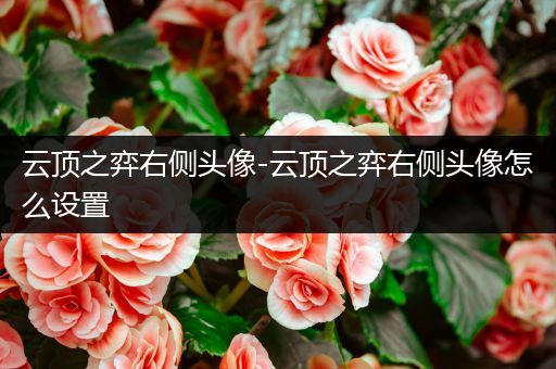 云顶之弈右侧头像-云顶之弈右侧头像怎么设置