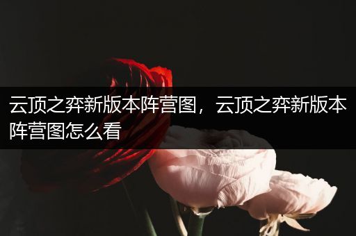 云顶之弈新版本阵营图，云顶之弈新版本阵营图怎么看