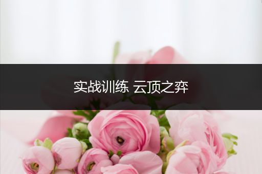 实战训练 云顶之弈