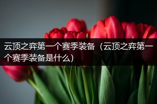 云顶之弈第一个赛季装备（云顶之弈第一个赛季装备是什么）