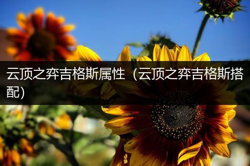 云顶之弈吉格斯属性（云顶之弈吉格斯搭配）