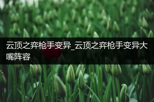 云顶之弈枪手变异_云顶之弈枪手变异大嘴阵容