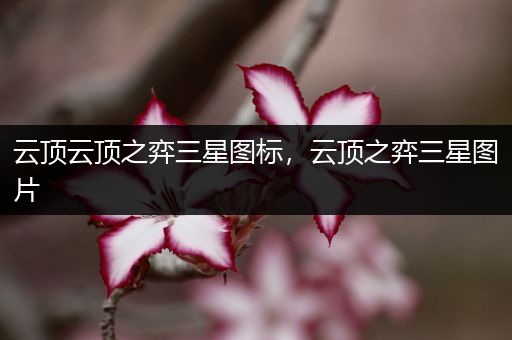 云顶云顶之弈三星图标，云顶之弈三星图片