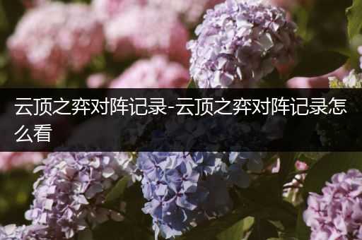 云顶之弈对阵记录-云顶之弈对阵记录怎么看
