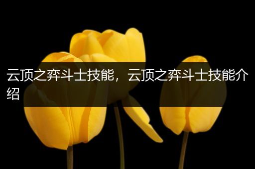 云顶之弈斗士技能，云顶之弈斗士技能介绍