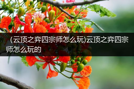 （云顶之弈四宗师怎么玩)云顶之弈四宗师怎么玩的