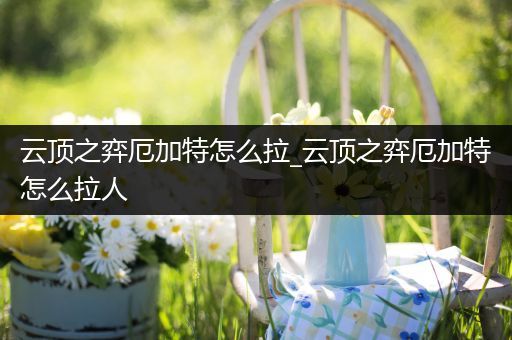 云顶之弈厄加特怎么拉_云顶之弈厄加特怎么拉人