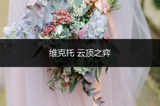 维克托 云顶之弈