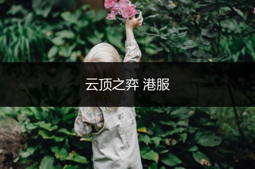 云顶之弈 港服