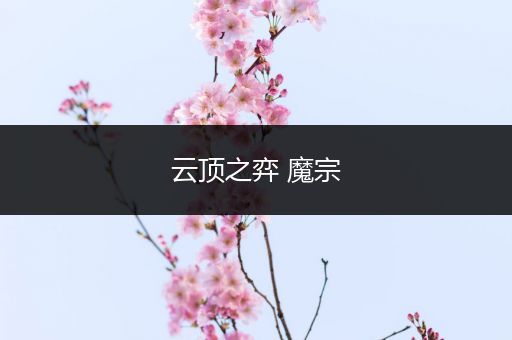 云顶之弈 魔宗
