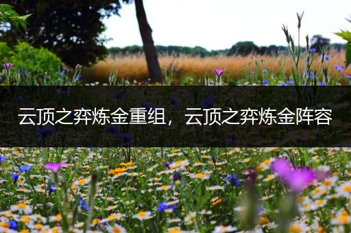 云顶之弈炼金重组，云顶之弈炼金阵容