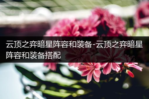 云顶之弈暗星阵容和装备-云顶之弈暗星阵容和装备搭配