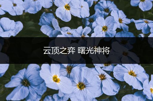 云顶之弈 曙光神将