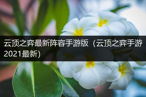 云顶之弈最新阵容手游版（云顶之弈手游2021最新）