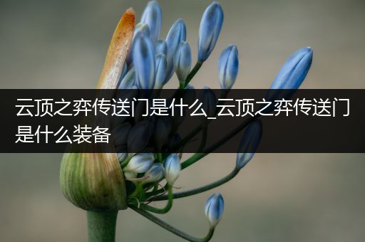 云顶之弈传送门是什么_云顶之弈传送门是什么装备