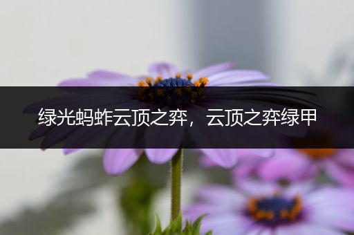 绿光蚂蚱云顶之弈，云顶之弈绿甲