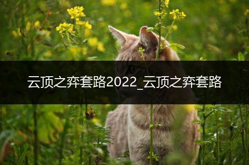 云顶之弈套路2022_云顶之弈套路