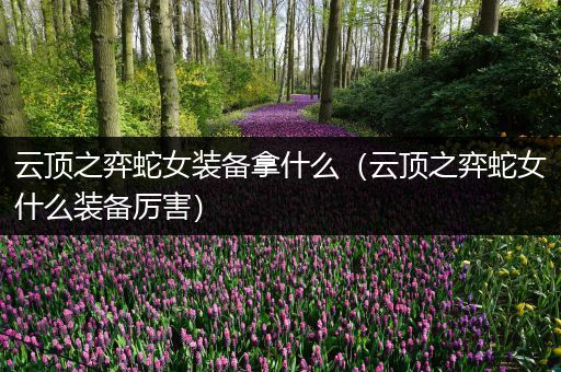 云顶之弈蛇女装备拿什么（云顶之弈蛇女什么装备厉害）